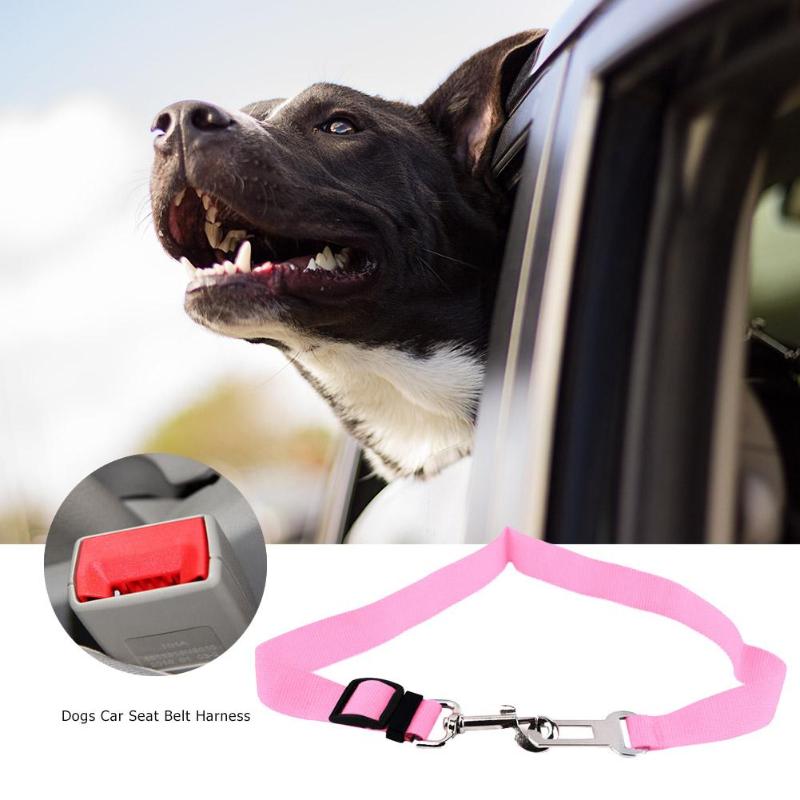 Puppy Seat Belt Puppy Seat Belt