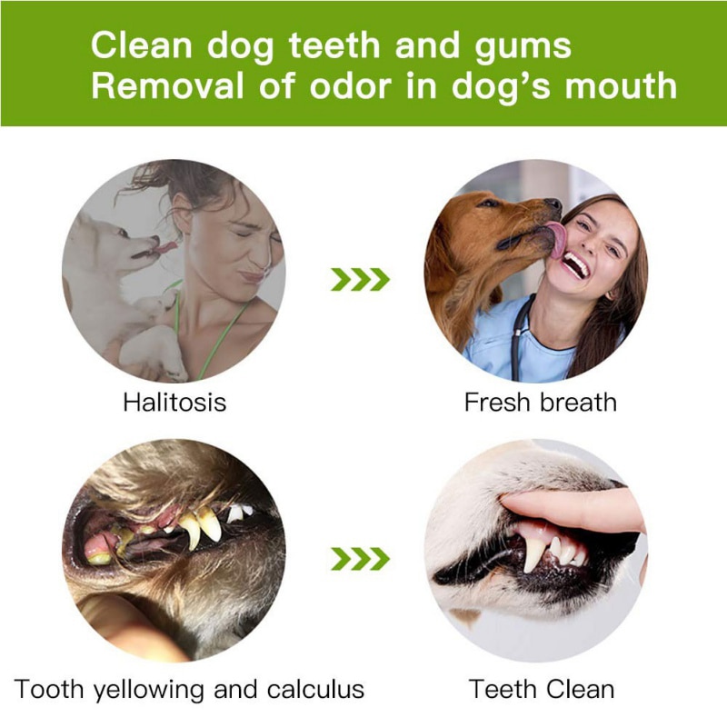Puppy Teething Toys Dental Stick Puppy Teething Toys Dental Stick