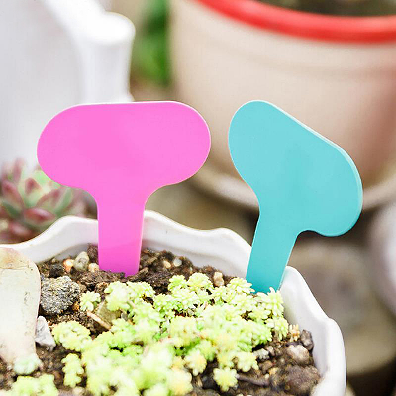 PVC Garden Plant Labels PVC Garden Plant Labels