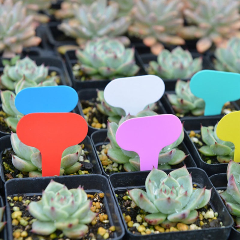 PVC Garden Plant Labels PVC Garden Plant Labels