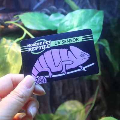 PVC Reptile Tank UVB Test Card PVC Reptile Tank UVB Test Card