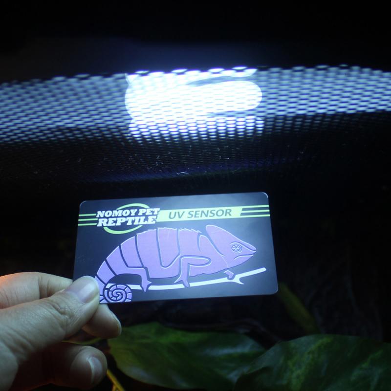 PVC Reptile Tank UVB Test Card PVC Reptile Tank UVB Test Card