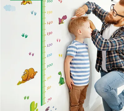 PVC Wall Dinosaur Height Chart PVC Wall Dinosaur Height Chart