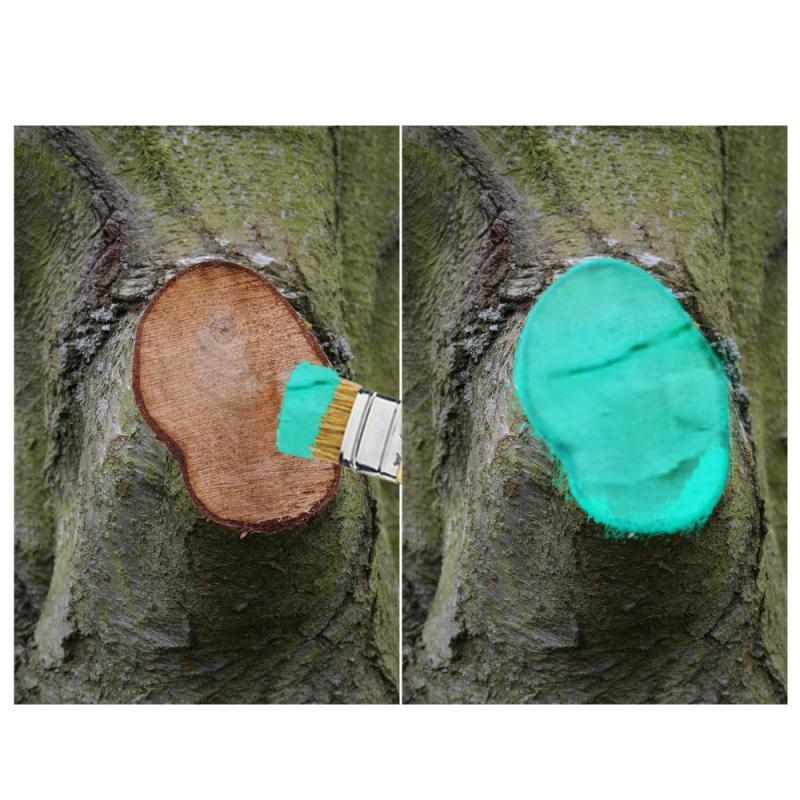 Quick Drying 30g Tree Wound Sealer with Brush Quick Drying 30g Tree Wound Sealer with Brush