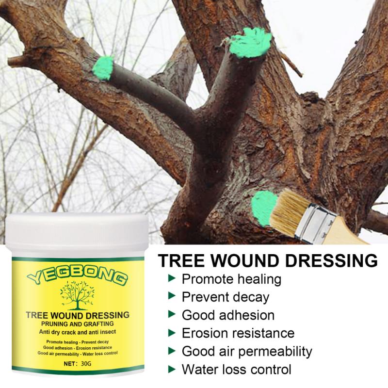 Quick Drying 30g Tree Wound Sealer with Brush Quick Drying 30g Tree Wound Sealer with Brush