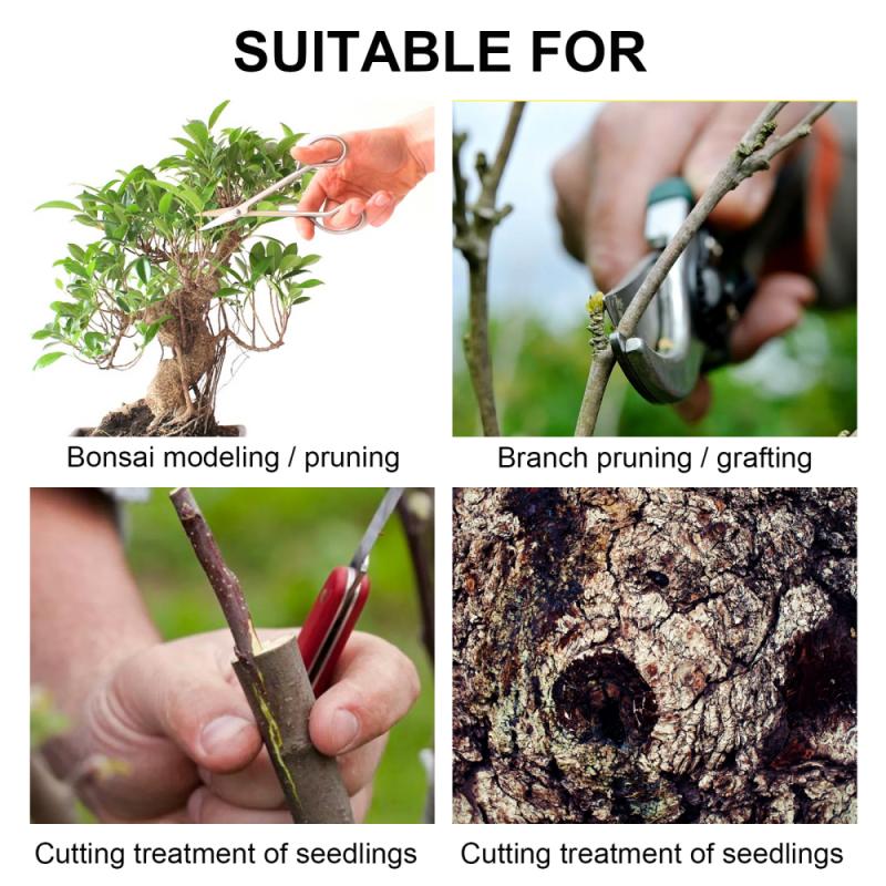 Quick Drying 30g Tree Wound Sealer with Brush Quick Drying 30g Tree Wound Sealer with Brush