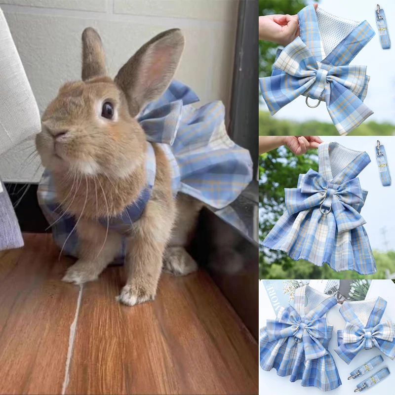 Rabbit Dress with Cute Leash
