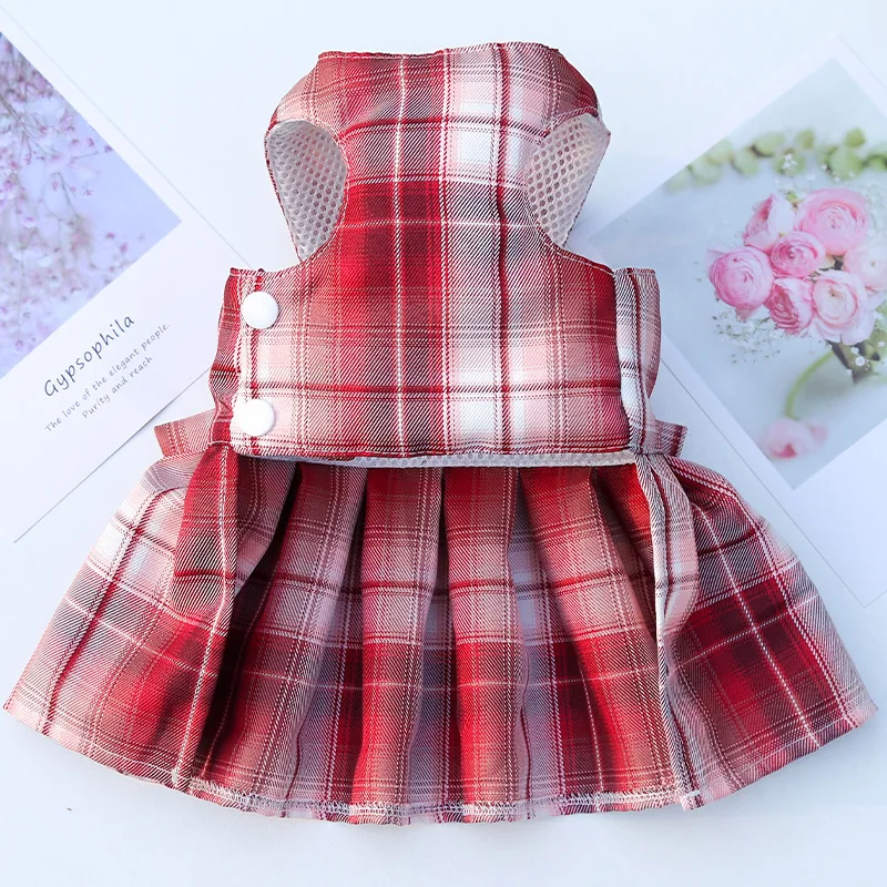 Rabbit Dress with Cute Leash