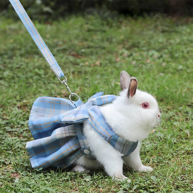 Rabbit Dress with Cute Leash
