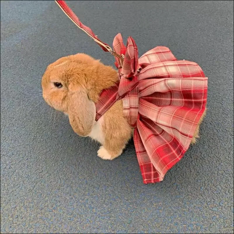 Rabbit Dress with Cute Leash
