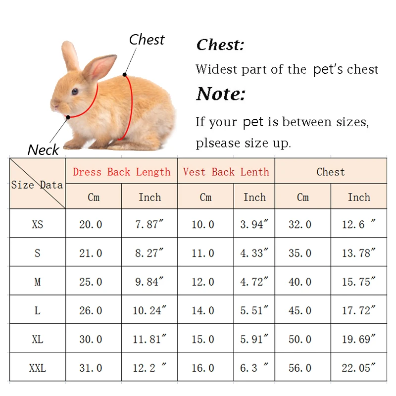 Rabbit Dress with Cute Leash
