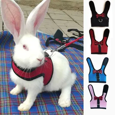 Rabbit Harness Pet Leash Rabbit Harness Pet Leash
