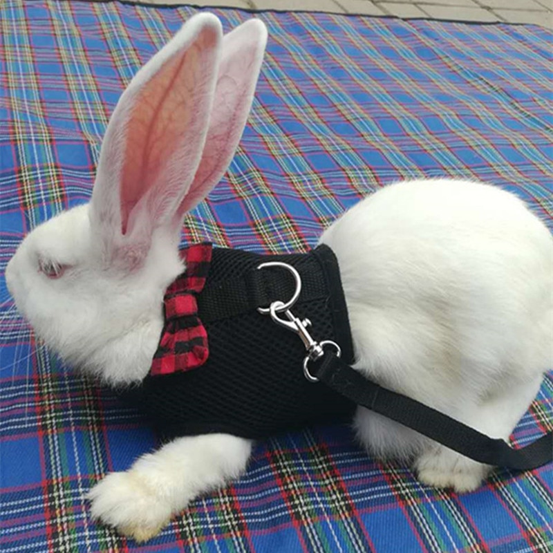 Rabbit Harness Pet Leash Rabbit Harness Pet Leash
