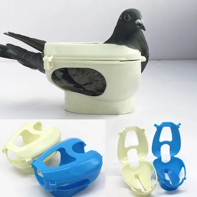 Racing Pigeon Holder For Injection Feeding Vaccination Mount Bird Supplies Racing Pigeon Holder For Injection Feeding Vaccination Mount Bird Supplies
