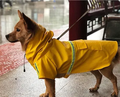 Rain Jacket for Dogs Waterproof Raincoat