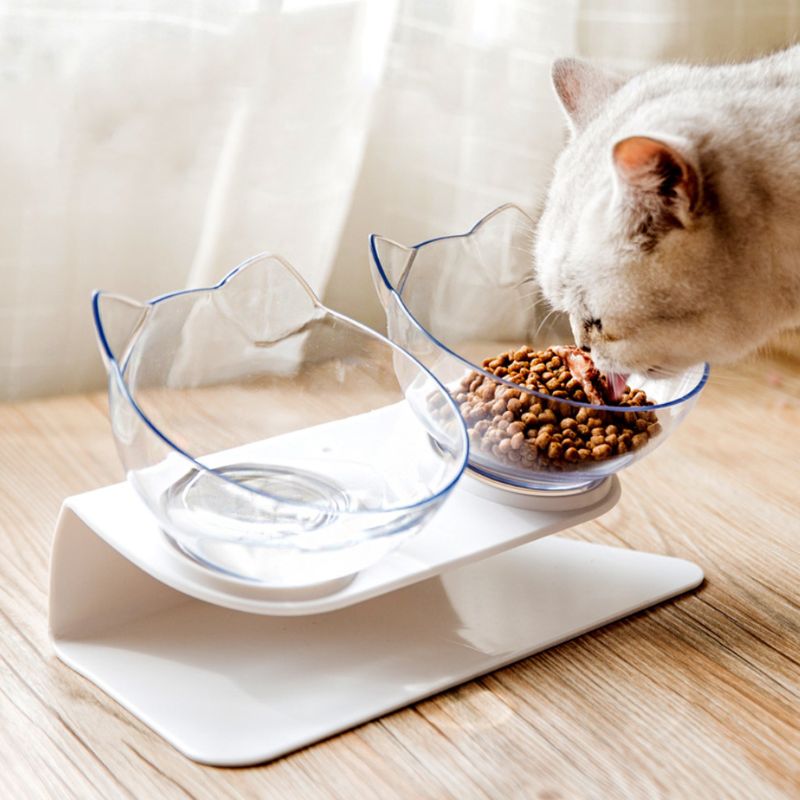Raised Pet Bowls Food and Water Bowls (2Pcs) Raised Pet Bowls Food and Water Bowls (2Pcs)