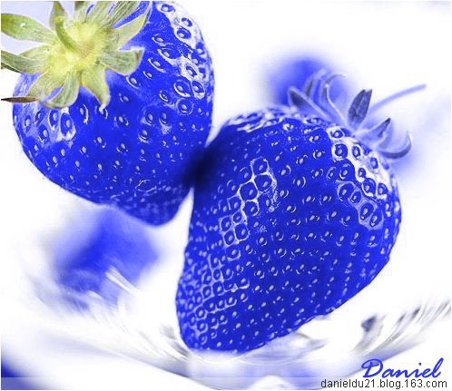 Rare Blue Strawberry Plant (100 PCS) Rare Blue Strawberry Plant (100 PCS)
