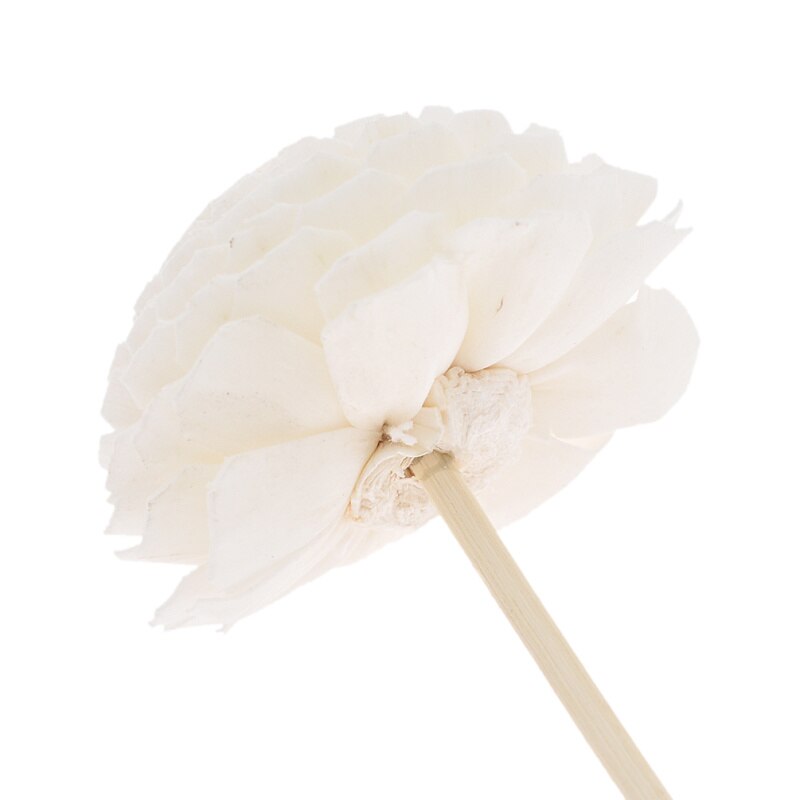 Rattan Flower Reed Diffusers (5pcs)