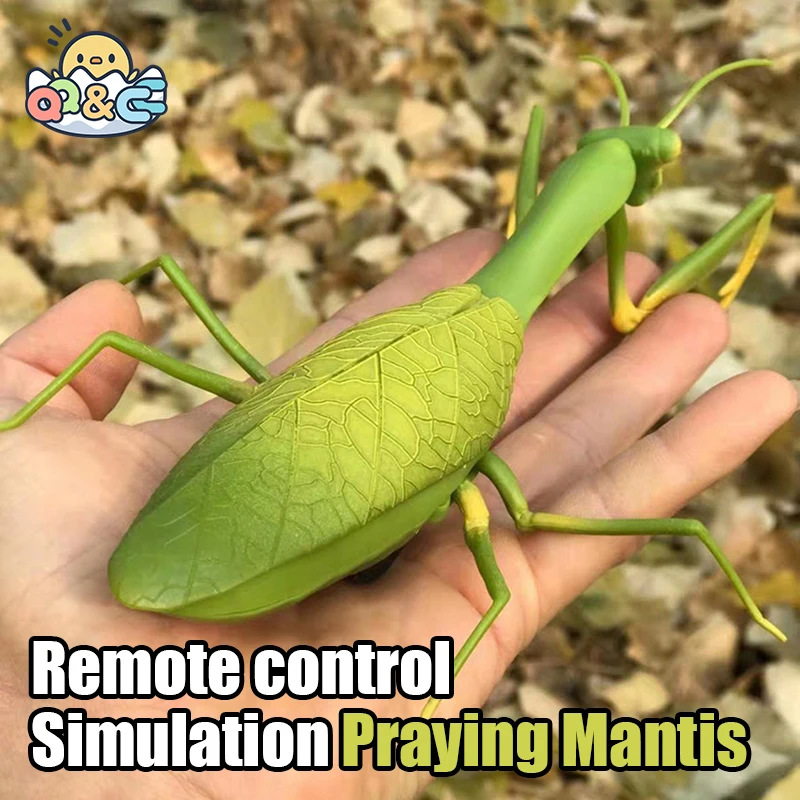 RC Animal Robot Antistress Insect Toys Infrared Simulation Spider Bee fly mantis Electric Toy for Children Prank