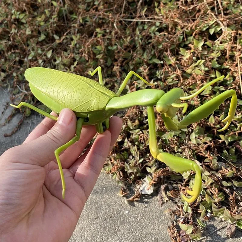 RC Animal Robot Antistress Insect Toys Infrared Simulation Spider Bee fly mantis Electric Toy for Children Prank