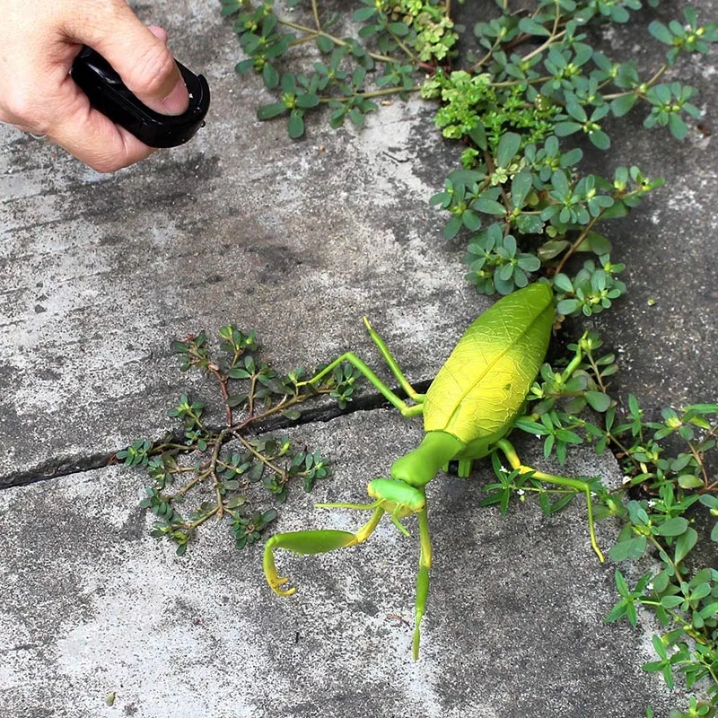 RC Animal Robot Antistress Insect Toys Infrared Simulation Spider Bee fly mantis Electric Toy for Children Prank