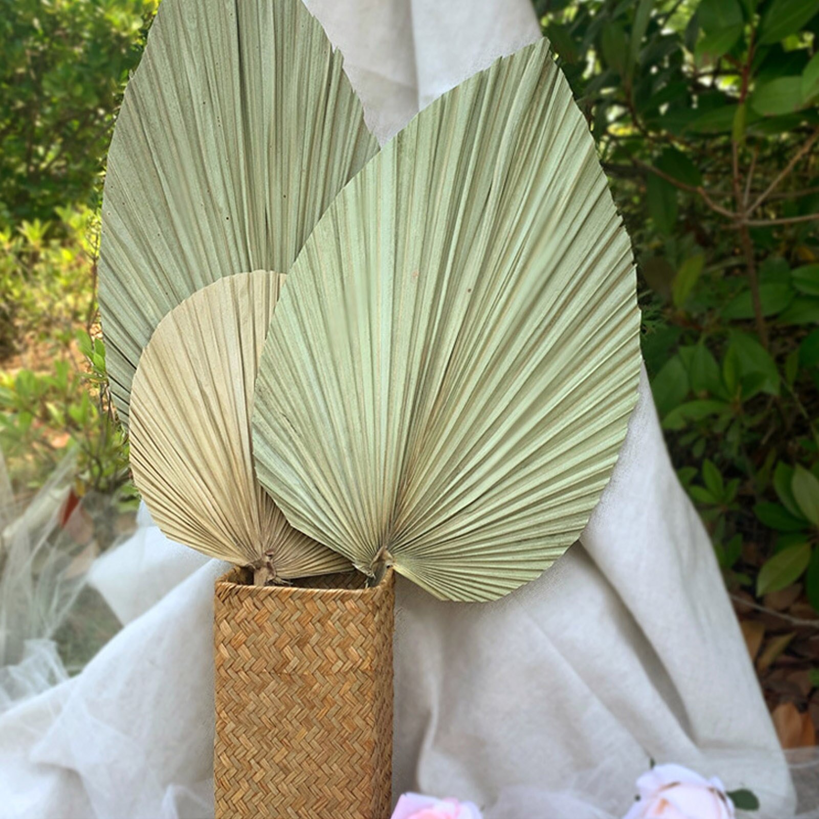 Real Natural Dried Palm Leaf