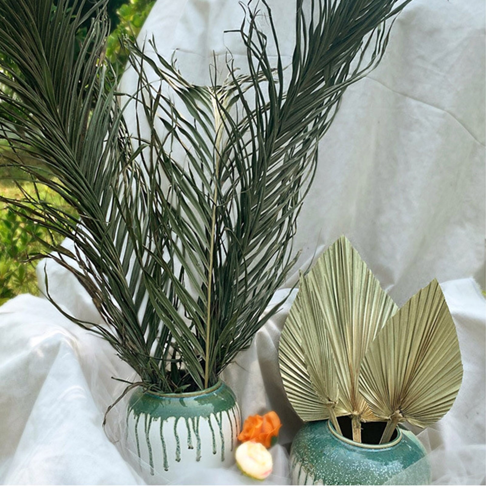 Real Natural Dried Palm Leaf