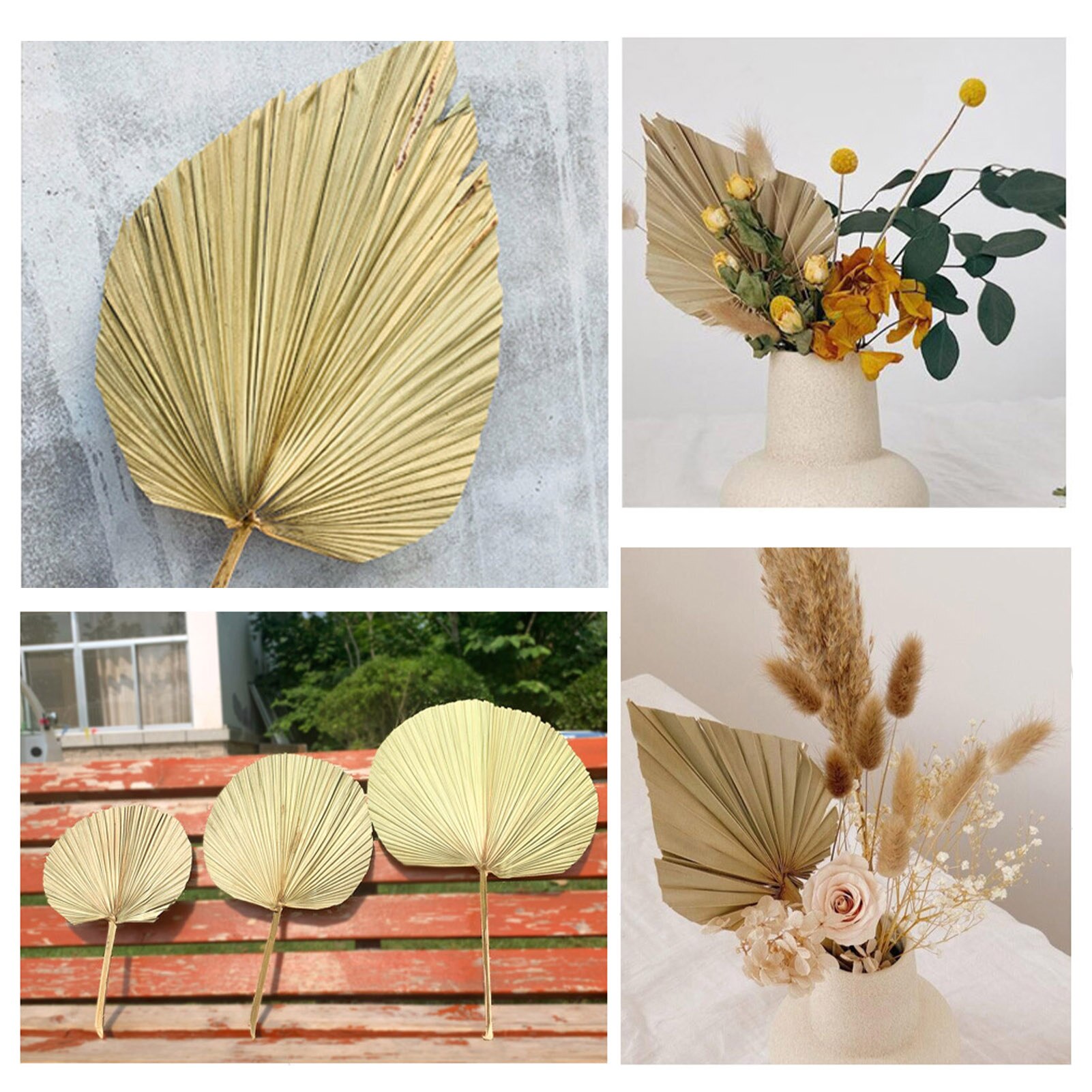 Real Natural Dried Palm Leaf