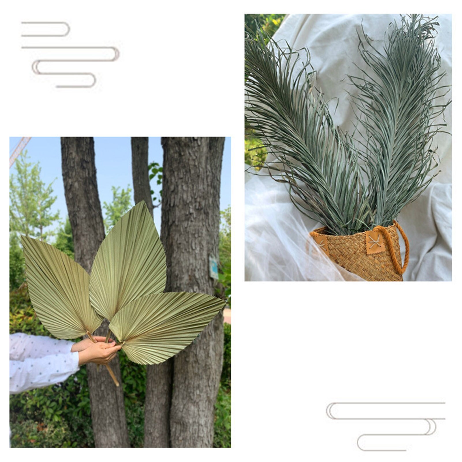 Real Natural Dried Palm Leaf
