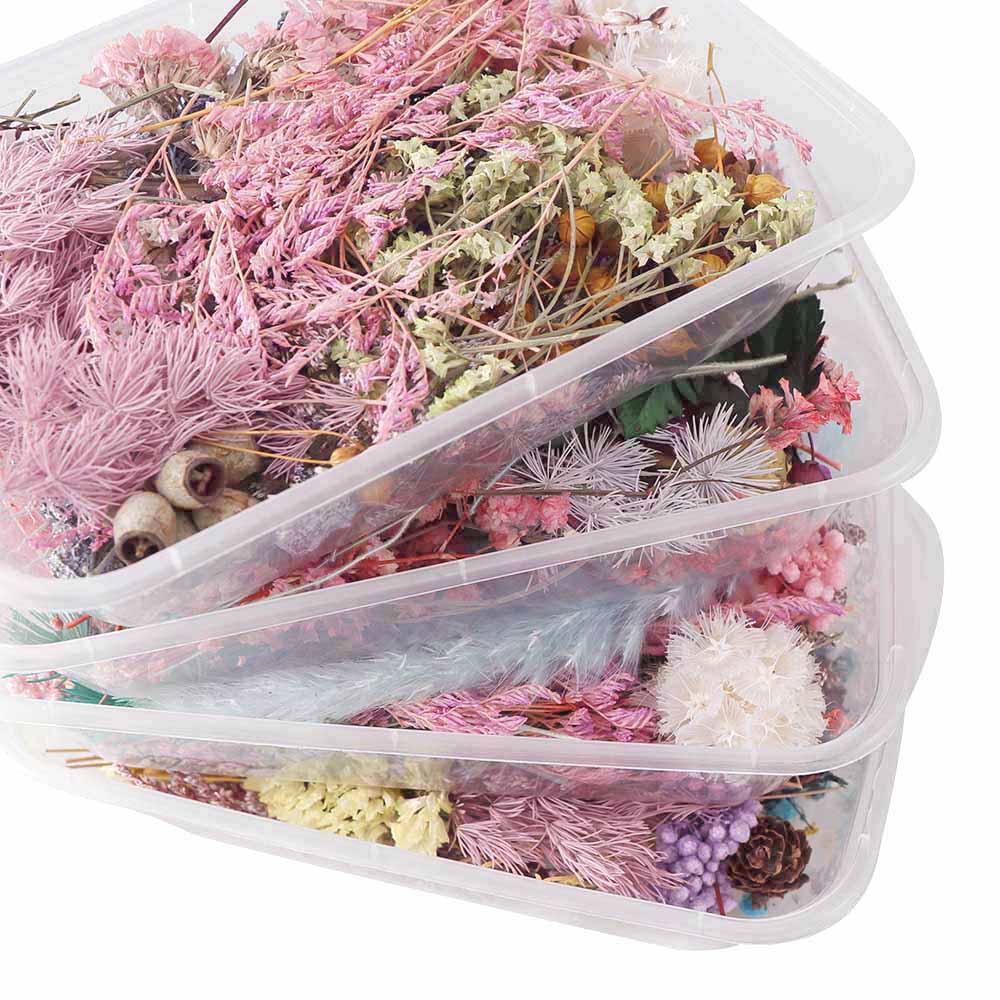 Real Natural Pressed Dried Flowers