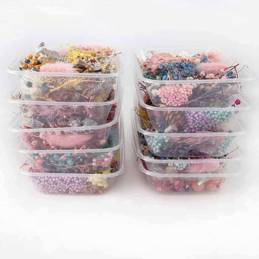 Real Natural Pressed Dried Flowers
