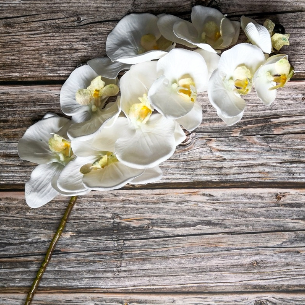 Realistic Colorful Fake Orchids