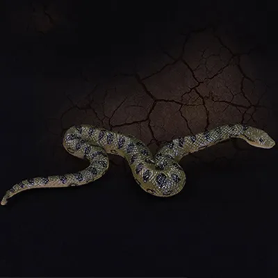 Realistic Fake Rubber Snake Realistic Fake Rubber Snake