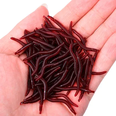 Realistic Fake Worm Bait (50 pcs)