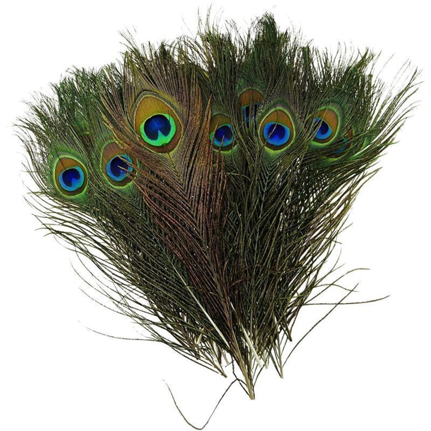 Realistic Peacock Feathers for Crafts (10pcs) Realistic Peacock Feathers for Crafts (10pcs)