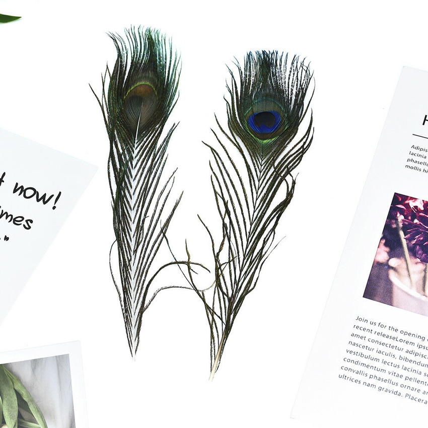 Realistic Peacock Feathers for Crafts (10pcs) Realistic Peacock Feathers for Crafts (10pcs)