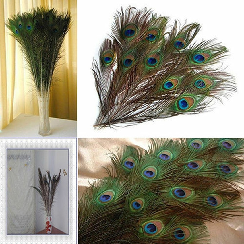 Realistic Peacock Feathers for Crafts (10pcs) Realistic Peacock Feathers for Crafts (10pcs)