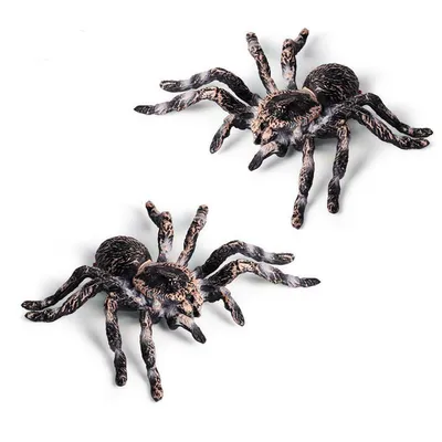 Realistic PVC Fake Tarantulas (2pcs)