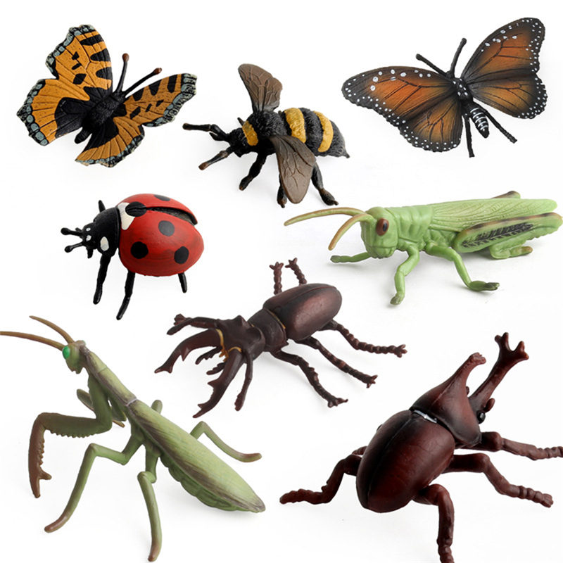 Realistic PVC Plastic Bug Toy