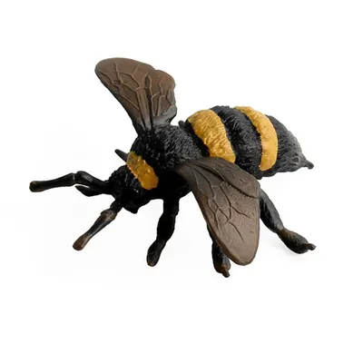 Realistic PVC Plastic Bug Toy