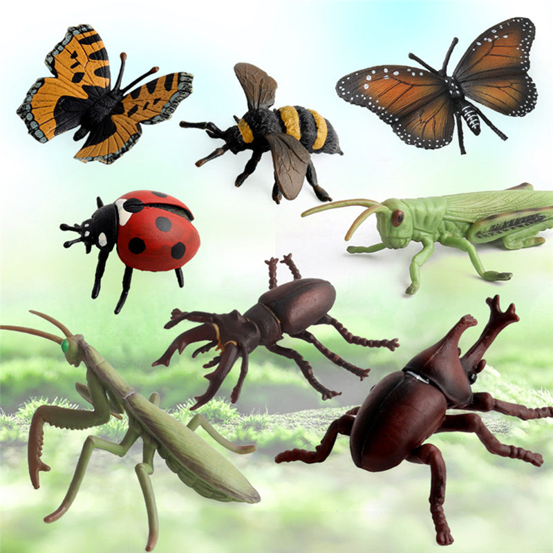 Realistic PVC Plastic Bug Toy