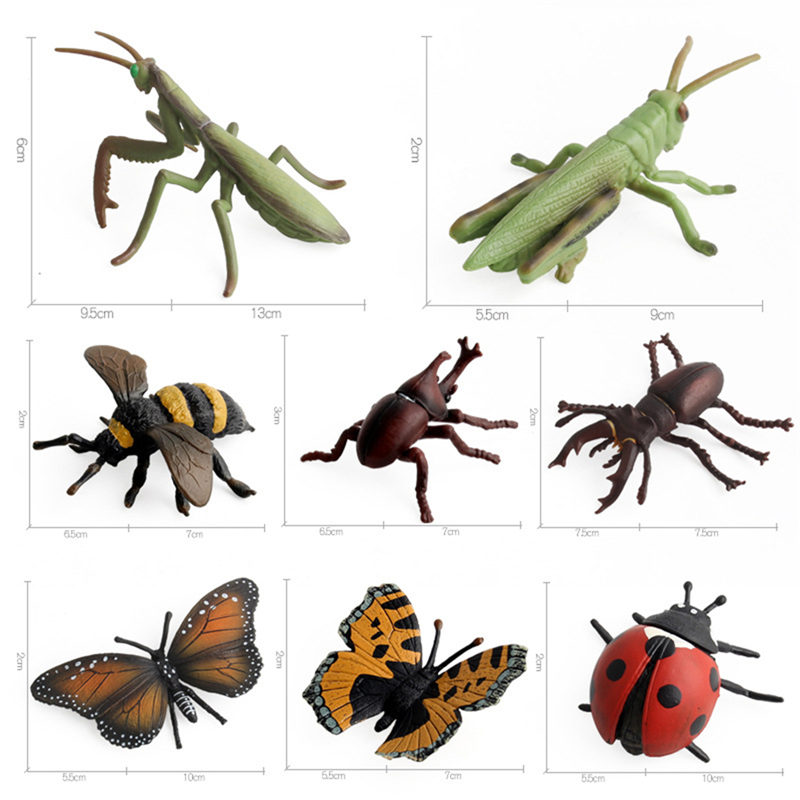 Realistic PVC Plastic Bug Toy
