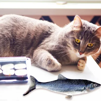 Rechargeable 3D Moving Electric Fish Cat Toy Rechargeable 3D Moving Electric Fish Cat Toy