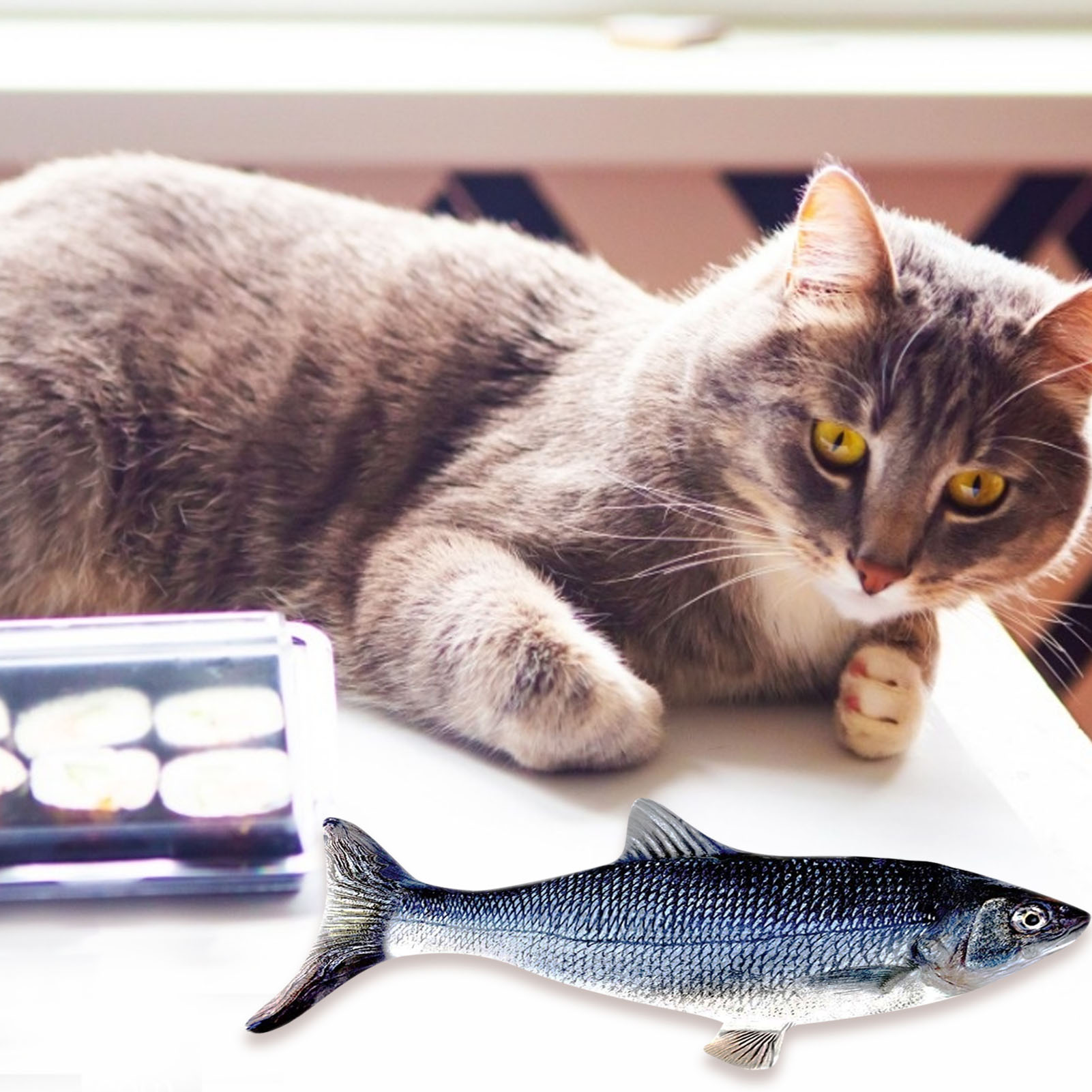Rechargeable 3D Moving Electric Fish Cat Toy Rechargeable 3D Moving Electric Fish Cat Toy