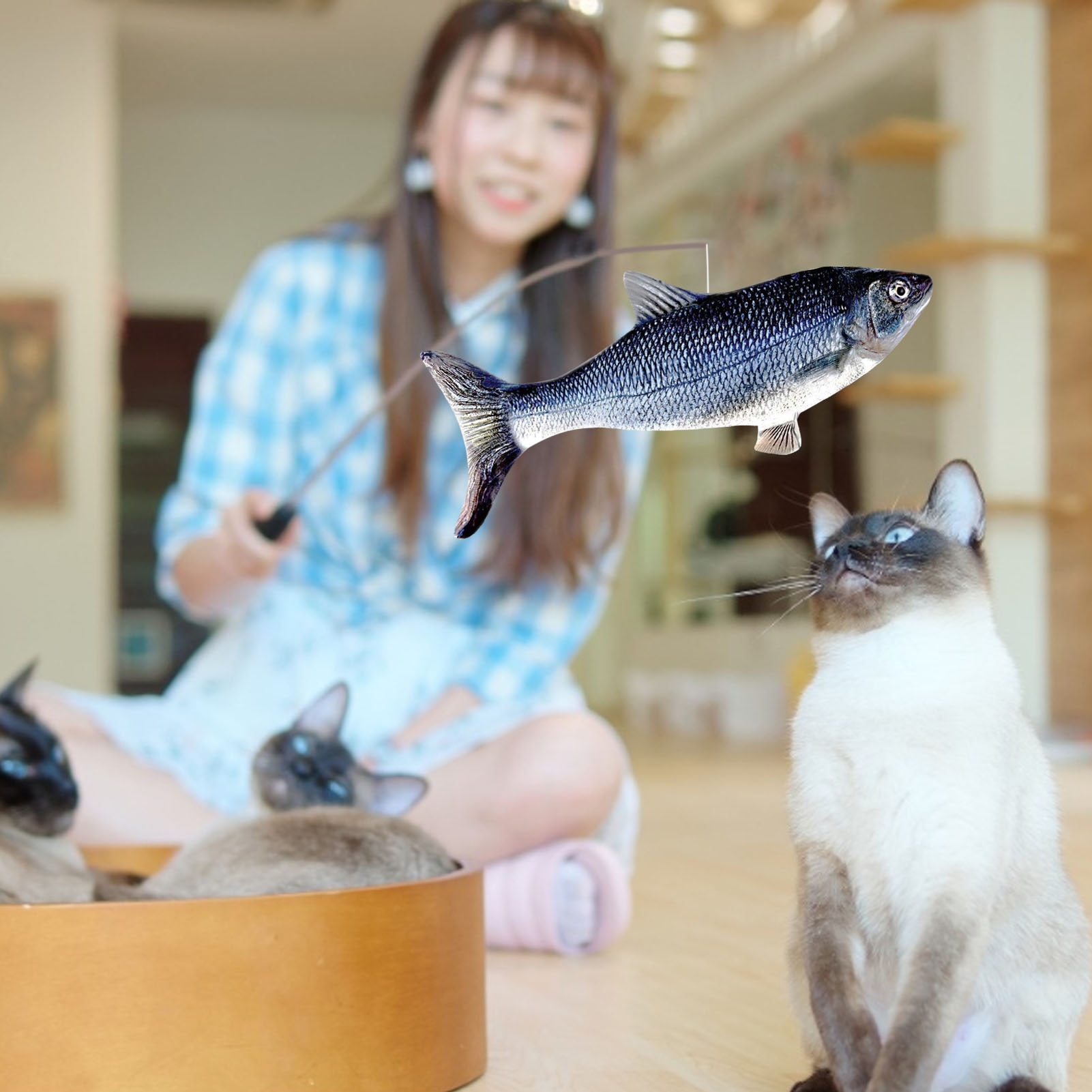 Rechargeable 3D Moving Electric Fish Cat Toy Rechargeable 3D Moving Electric Fish Cat Toy
