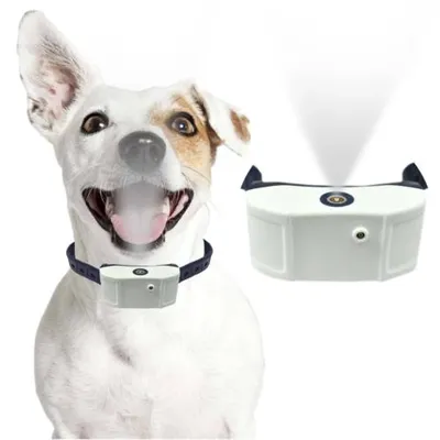 Rechargeable Anti Bark Spray Collar Rechargeable Anti Bark Spray Collar