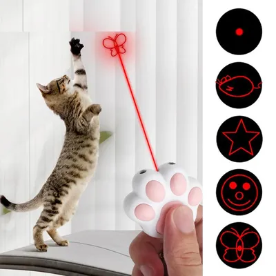Rechargeable Multifunctional Laser Toy for Cats