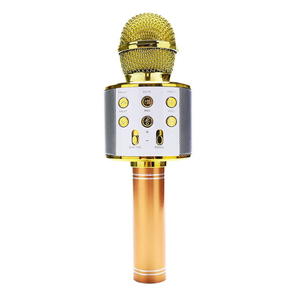 Rechargeable Wireless Microphone with Speaker Rechargeable Wireless Microphone with Speaker