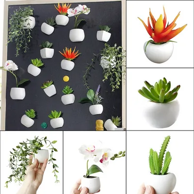 Ref Magnet Mini Plants Magnet