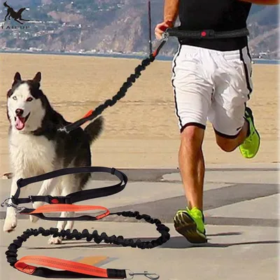 Reflective Dog Jogging Leash